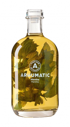 PUNCH AU RHUM MENTHA 70CL 28°